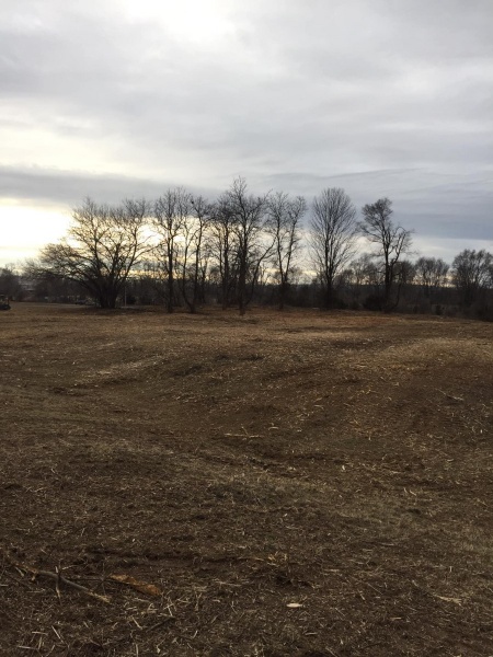 Forestry Mulching - Chambersburg, PA