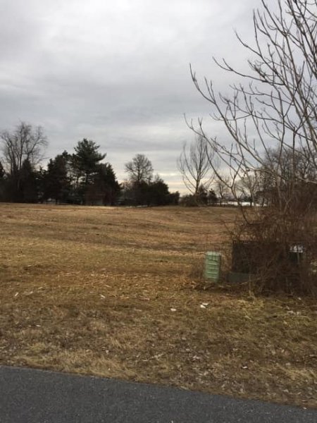 Forestry Mulching - Chambersburg, PA