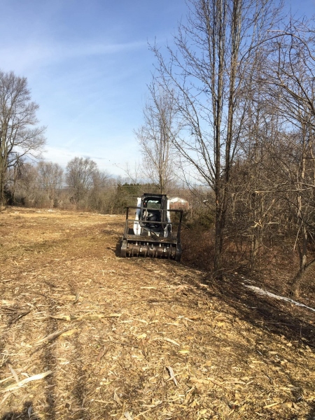 Forestry Mulching - Chambersburg, PA