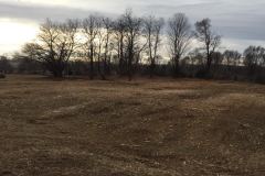 Forestry Mulching - Chambersburg, PA