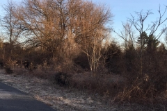 Forestry Mulching - Chambersburg, PA