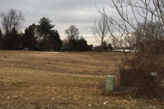 Forestry Mulching - Chambersburg, PA