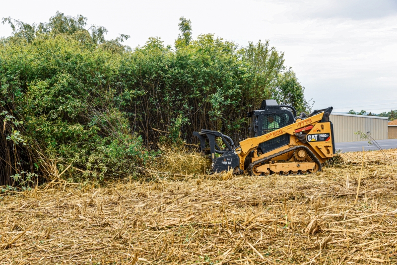 Forestry Mulching - Duncansville, PA