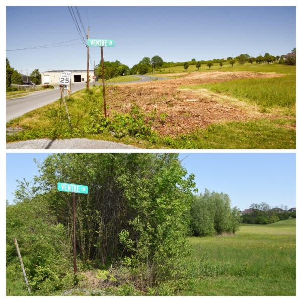 Forestry Mulching - Duncansville, PA