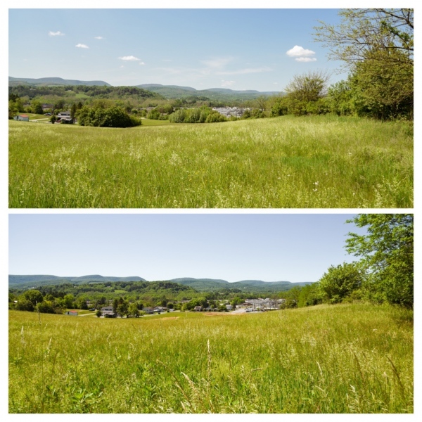 Forestry Mulching - Duncansville, PA