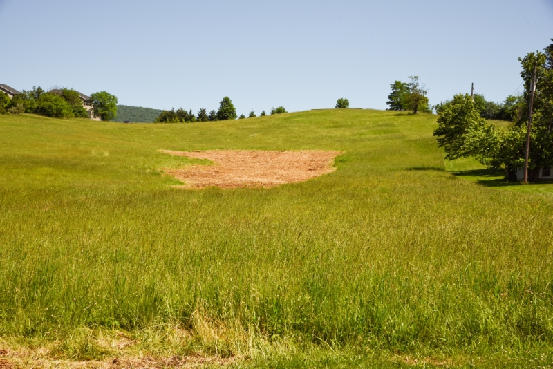 Forestry Mulching - Duncansville, PA