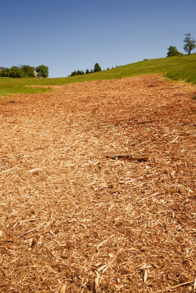 Forestry Mulching - Duncansville, PA