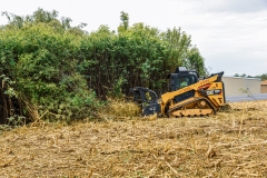 Forestry Mulching - Duncansville, PA