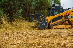 Forestry Mulching - Duncansville, PA