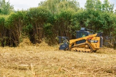 Forestry Mulching - Duncansville, PA