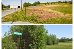 Forestry Mulching - Duncansville, PA