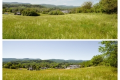 Forestry Mulching - Duncansville, PA