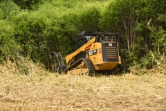 Forestry Mulching - Duncansville, PA