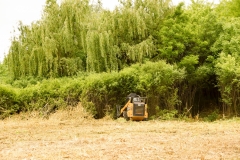 Forestry Mulching - Duncansville, PA