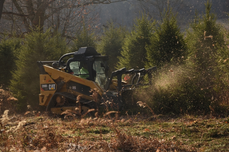 Forestry Mulching - Indiana, PA