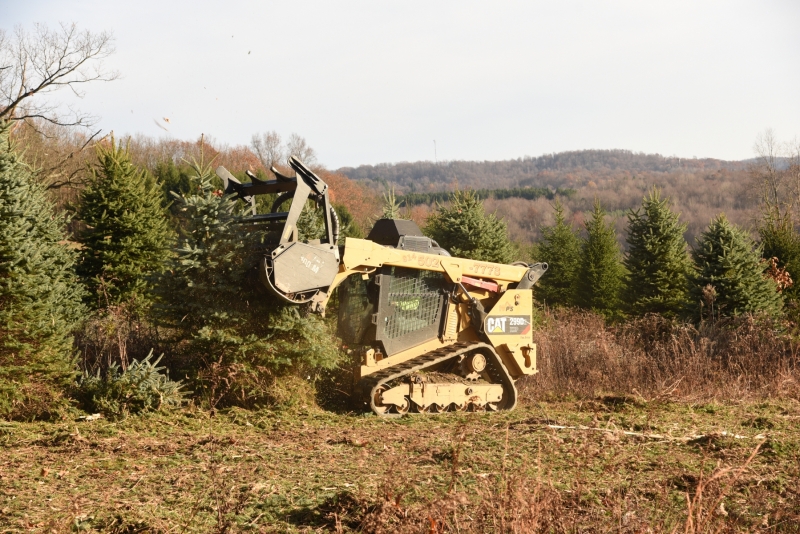 Forestry Mulching - Indiana, PA