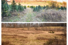 Forestry Mulching - Indiana, PA