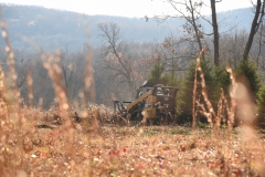 Forestry Mulching - Indiana, PA