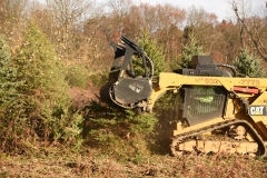 Forestry Mulching - Indiana, PA