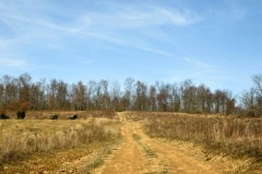 Forestry Mulching - Indiana, PA