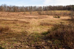 Forestry Mulching - Indiana, PA