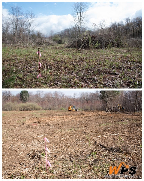 Before and After - Johnstown, PA