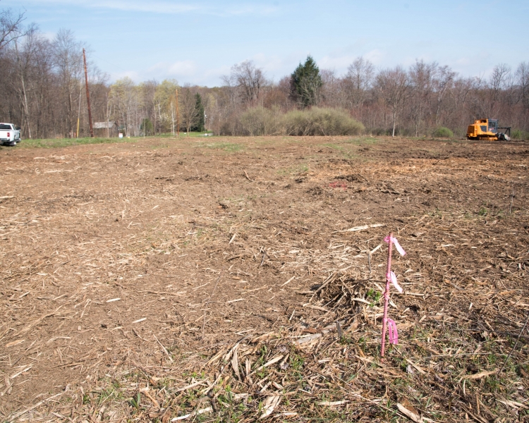 Forestry Mulching - Johnstown, PA