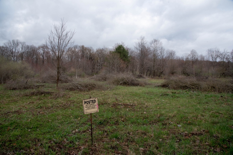 Forestry Mulching - Johnstown, PA