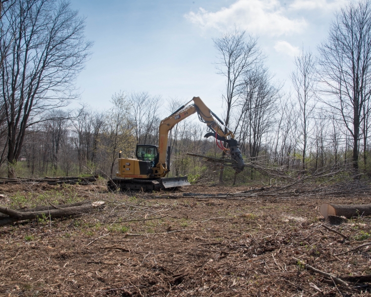 Forestry Mulching - Johnstown, PA