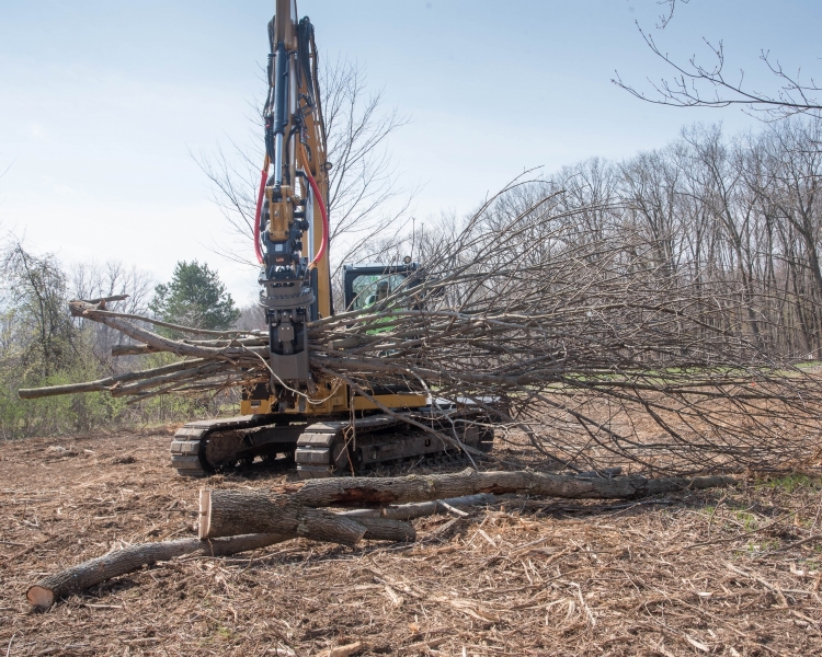 Forestry Mulching - Johnstown, PA