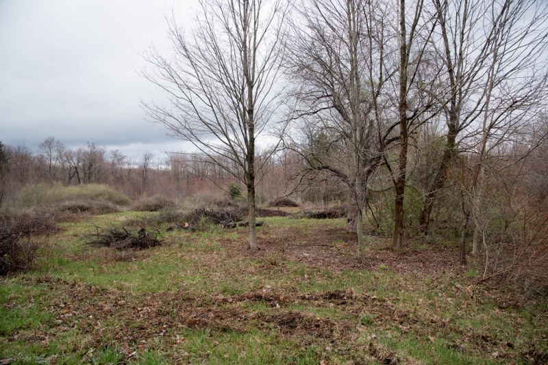 Forestry Mulching - Johnstown, PA