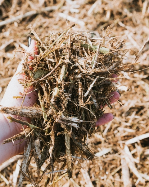 Forestry Mulching - Johnstown, PA