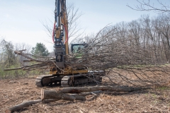 Forestry Mulching - Johnstown, PA