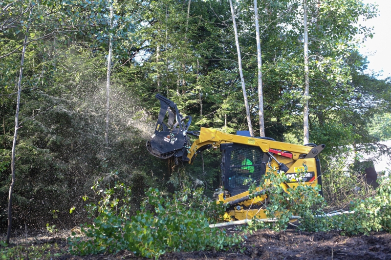 Forestry Mulching - Lilly, PA