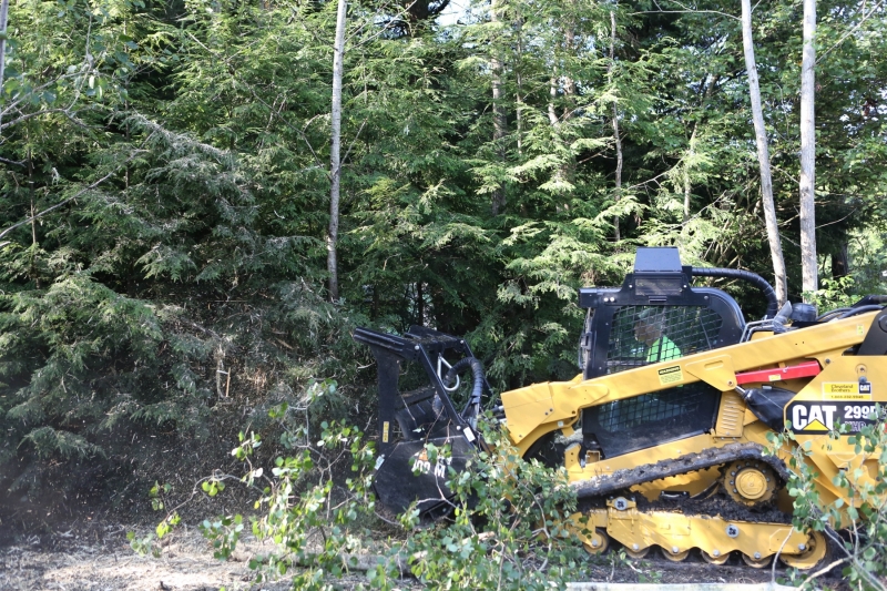 Forestry Mulching - Lilly, PA