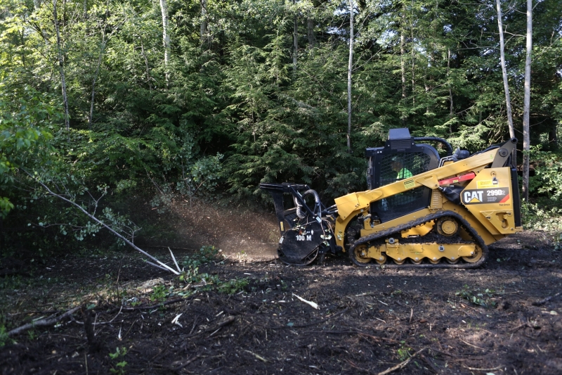 Forestry Mulching - Lilly, PA