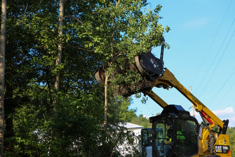 Forestry Mulching - Lilly, PA