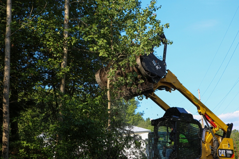 Forestry Mulching - Lilly, PA