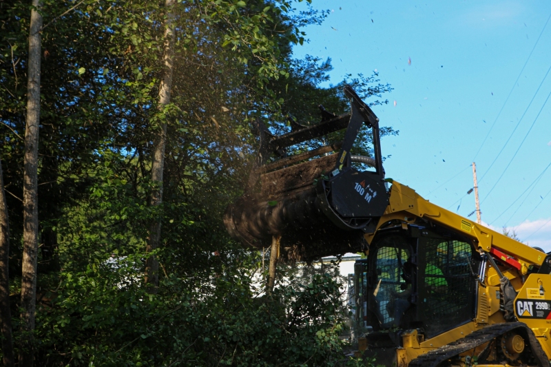 Forestry Mulching - Lilly, PA