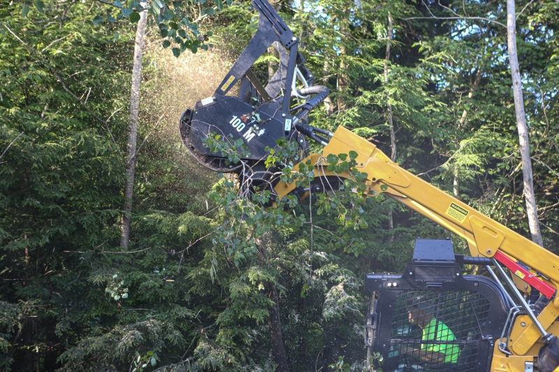 Forestry Mulching - Lilly, PA