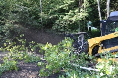 Forestry Mulching - Lilly, PA