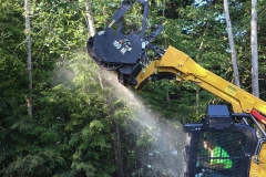 Forestry Mulching - Lilly, PA