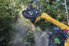 Forestry Mulching - Lilly, PA