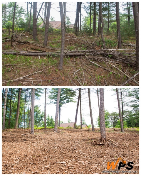 Forestry Mulching & Land Clearing - Petersburg, PA