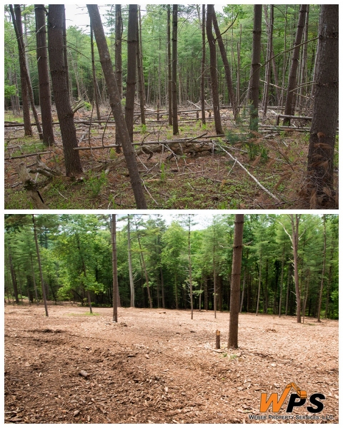 Forestry Mulching & Land Clearing - Petersburg, PA