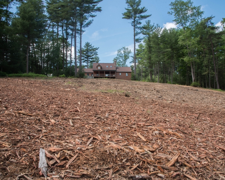 Forestry Mulching & Land Clearing - Petersburg, PA