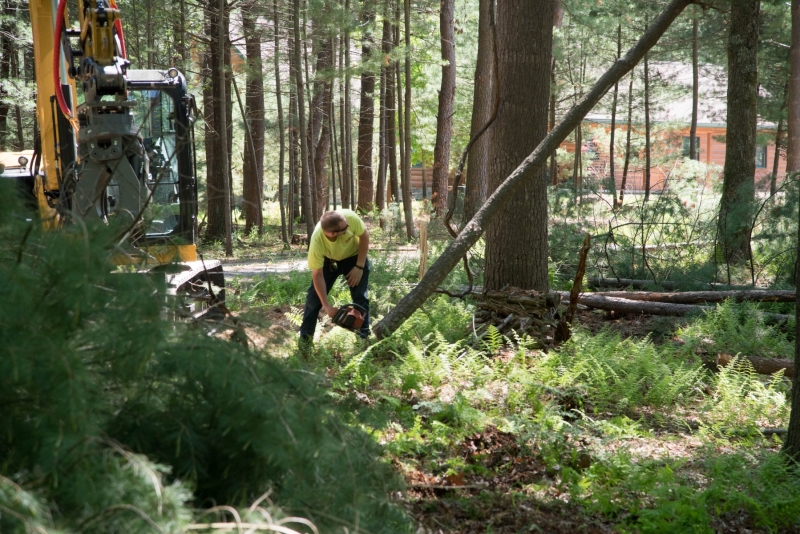 Forestry Mulching & Land Clearing - Petersburg, PA