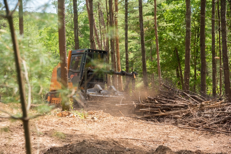 Forestry Mulching & Land Clearing - Petersburg, PA