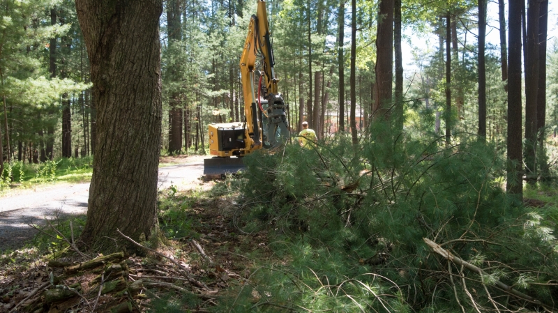 Forestry Mulching & Land Clearing - Petersburg, PA