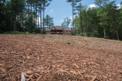 Forestry Mulching & Land Clearing - Petersburg, PA